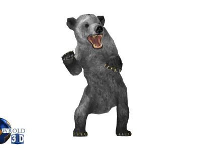 Animal Bear Rigged-Animated Pack Lowpoly 3d model Low-poly 3D model