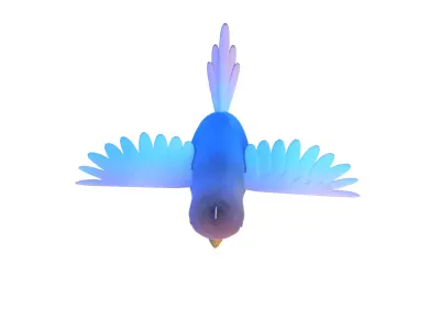  Bird  Low Poly 3D Model 3D model