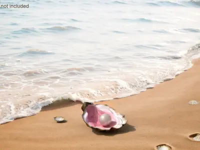 Pearl in Colored Shell 