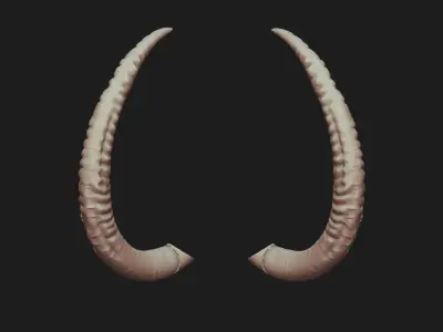 Tusks 3D print model