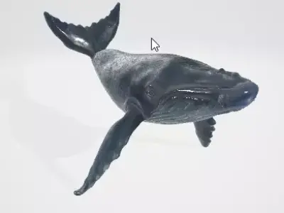 Realistic Blue Whale 3D Model 3D model