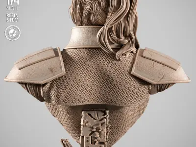 STAR WARS Care Dune Portrait Bust  3D print model