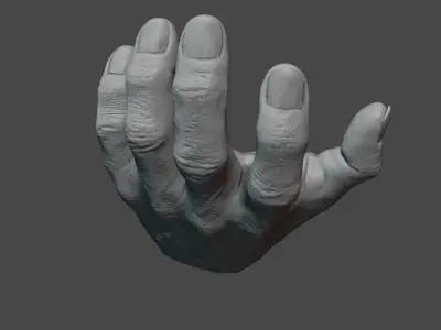 Human hand 3D model