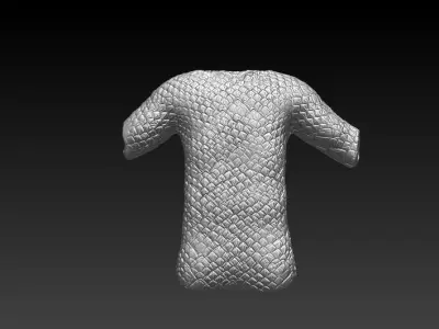 coat of mail 3D model