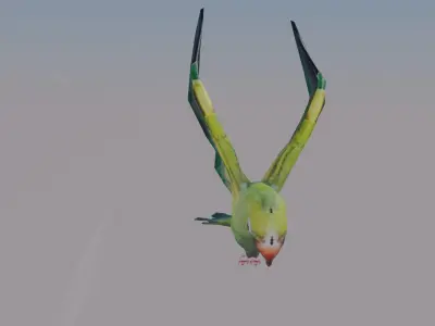 well modeled lowpoly Parrot Low-poly 3D model