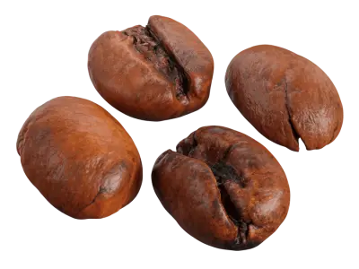  Robusta Coffee Beans Model  purchase