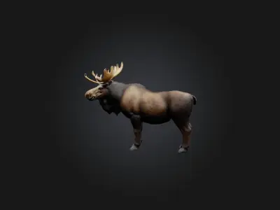 Realistic Moose Model Low-poly 3D model