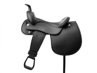 Sleek Black Saddle model pack Low-poly 3D model