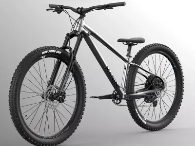 MTB hardtail metallic silver gloss black Low-poly 3D model