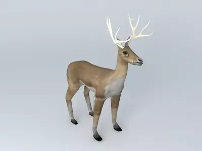 Deer with rack Free 3D model