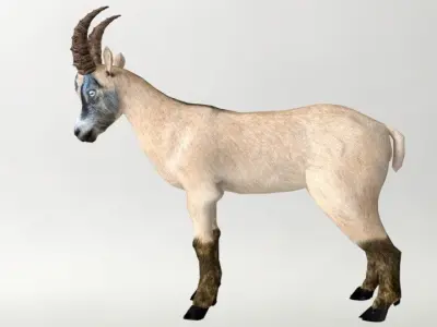 Goat Blue Power Crystal in forehead 1st Enemy game ready  Low-poly 3D model