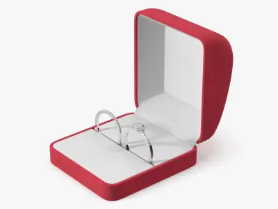 Engagement Rings Silver Color in Velvet Case 3D model