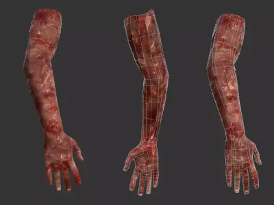 Arm Bloody Body Part Game Ready Low-poly 3D model