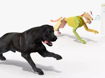 Black Labrador Dog Running Animated Rigged for Cinema 4D 3D model
