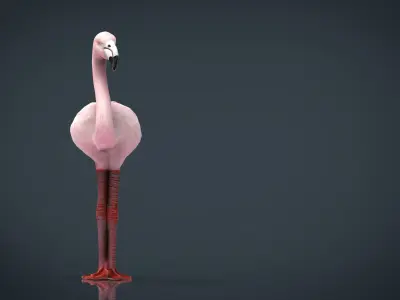 Flamingo Low-poly 3D model buy