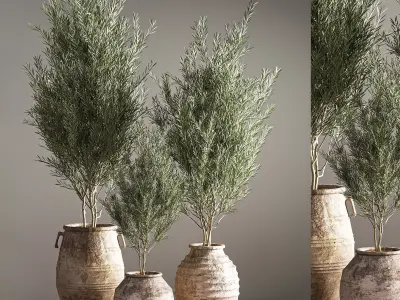 indoor plant set 16 3D model