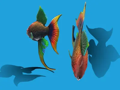 Tropical Fish  Low-poly 3D model