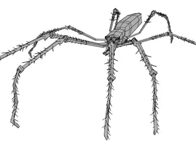 Water spider   Low-poly 3D model