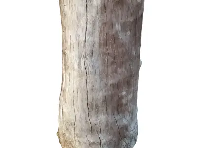 tree truck 16 3D model