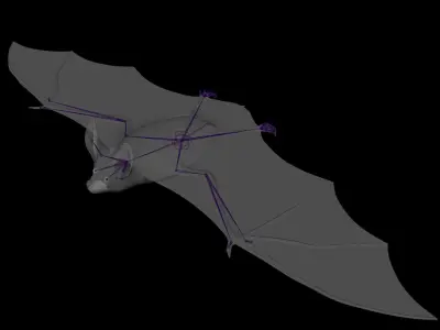 BAT Rigged 3D model