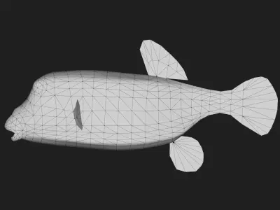 Boxfish Low-poly 3D model