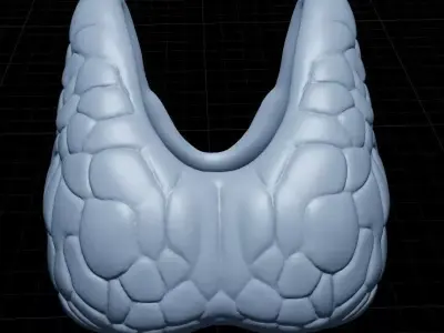 Thyroid and Parathyroid Glands Posterior View 3D Model 3D print model