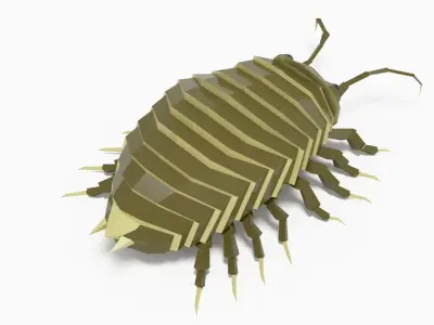 Bug low poly Low-poly 3D model buy