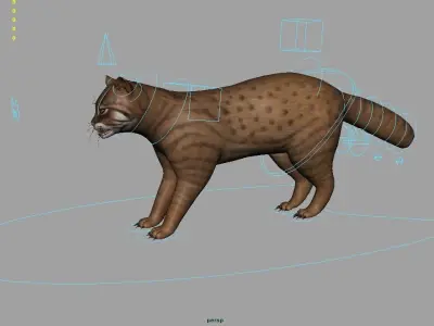 Lynx Animal 3D model