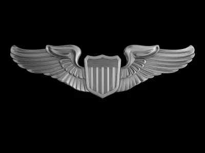 US Army Air Force Pilot Wings Badge 3D model