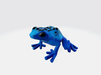 Frog cartoon 3d model Low-poly 3D model
