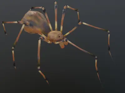 Spider Low-poly 3D model 5