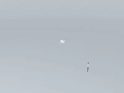 nataliorkut bird in sky on foggy day Free 3D model