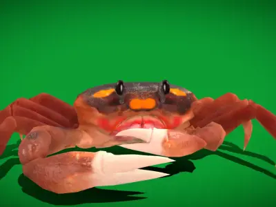 Halloween Moon Crab Free 3D model