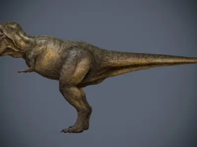 Tyrannosaurus Rex-Animations 3D model