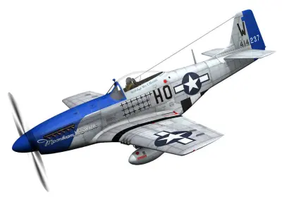 North American P-51D Mustang - Moonbeam McSwine 3D model