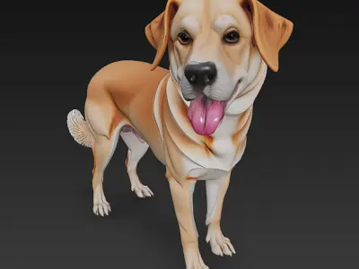 Dog Realistic 3D Model - Low Poly Realistic Low-poly 3D model
