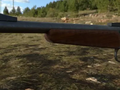 Cannon Pistol Low-poly 3D model