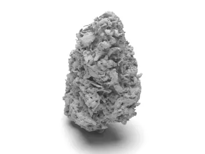 Cannabis Bud 01 3D model