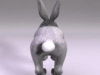 Rabbit Low-poly 3D model get