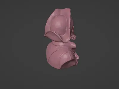 Pirate bust 3D print model