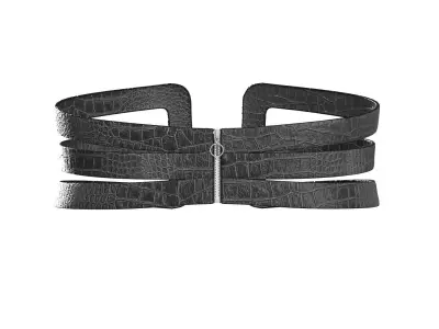 Black Frame Belt 3D model