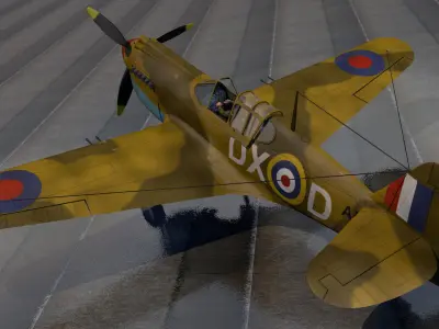 Curtiss Tomahawk - RSAAF 3D model