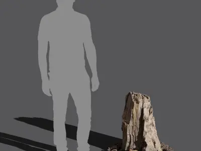  Medium Broken Damaged Stump Model 