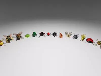Insects Pack - Low Poly 3D model