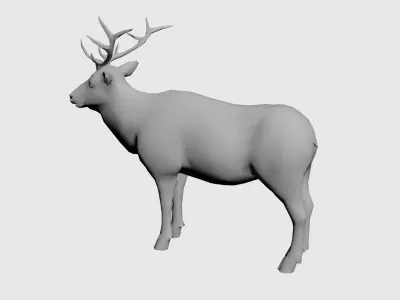 Moose-wild animals Low-poly 3D model