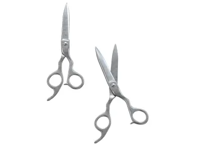  Kasho Metal Scissors for a hairstyle 3D model