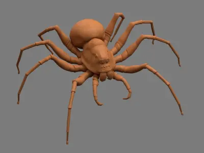 Spider Low-poly 3D model 8