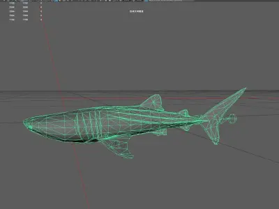 Shark Low-poly 3D model 34