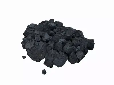 Coal 3D Model 3D model