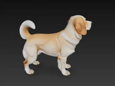 Dog Realistic 3D Model - Low Poly Realistic  Low-poly 3D model